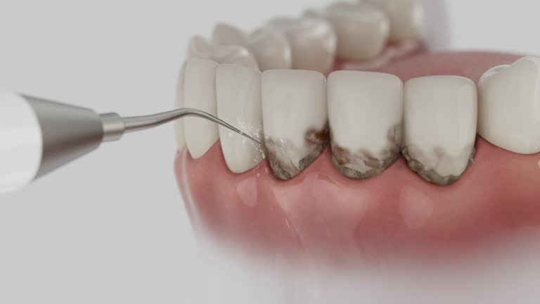 Reliable Dental contractor in Ravenna, MI by Dentist Open Now
